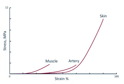 Stress Strain Curve of Tissues – Muscle, Artery, Skin