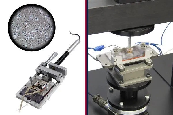 Tissue Engineering and Mechanobiology Testing Guide cover photo of a bioreactor, cells, and axial torsion test on tissue samples