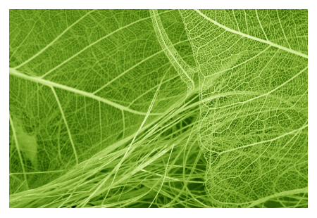 plant fibers