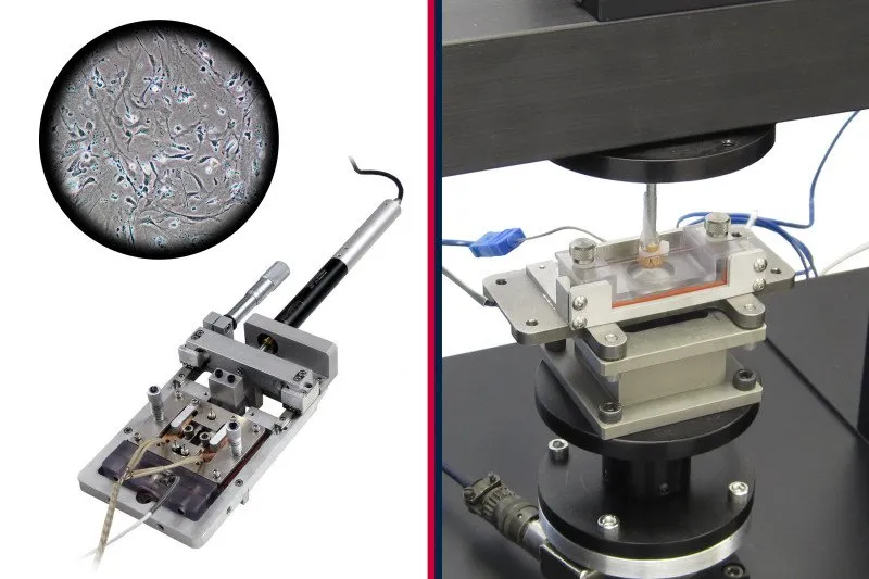 Tissue Testing Device Tissue Engineering & Mechanobiology Testing Solutions - ADMET Guide